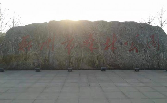 鄭州市森林公園升級(jí)改造項(xiàng)目強(qiáng)電工程監(jiān)理  供電驗(yàn)收